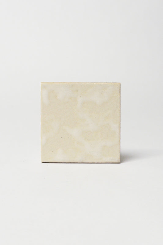 FOSSIL