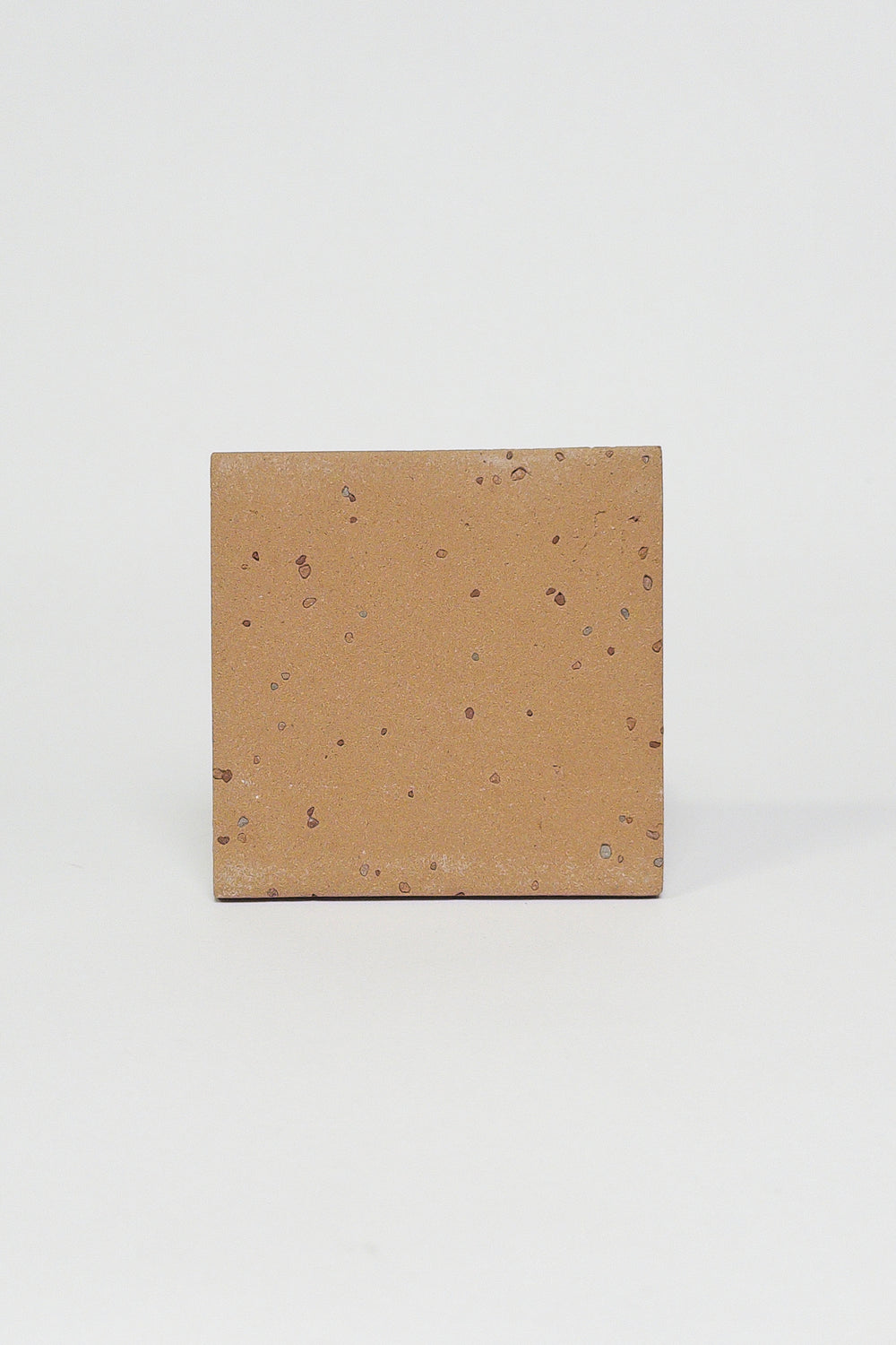 FLECK - EARTH