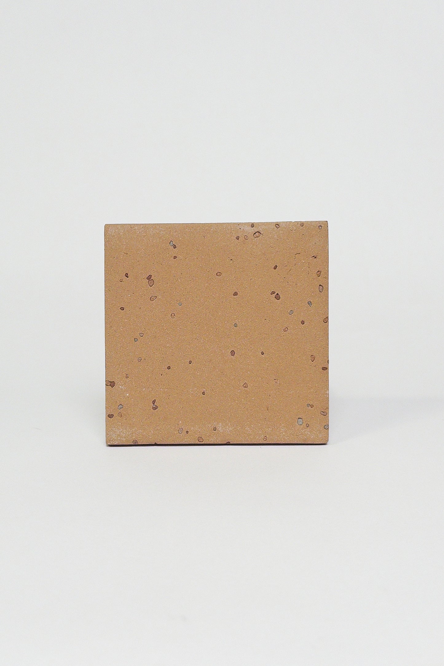 FLECK - EARTH