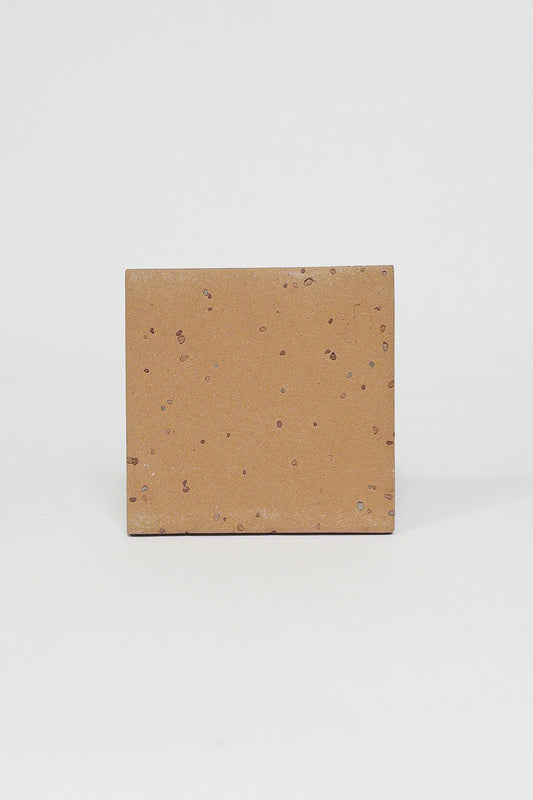FLECK - EARTH