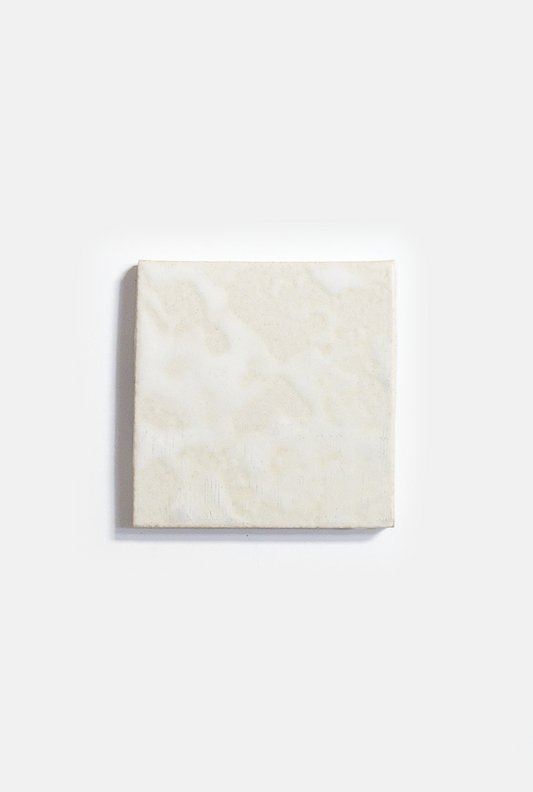 FOSSIL